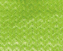 design for Zesty Lime