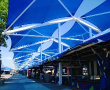 royal blue shadesure shade