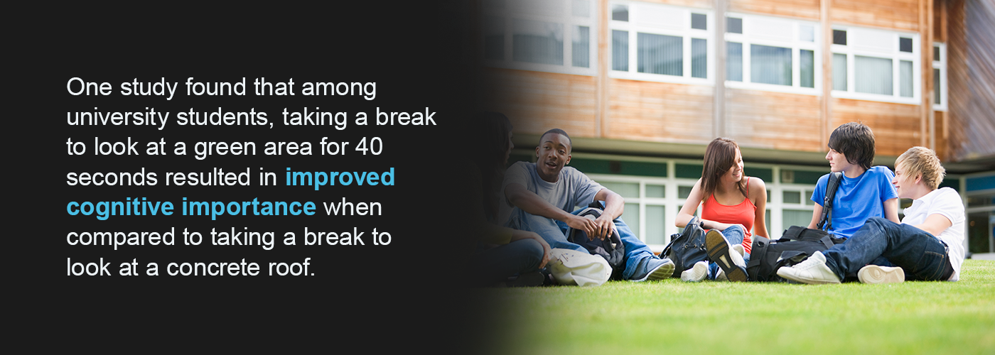 Improved Cognitive performance for spending time in a green area.