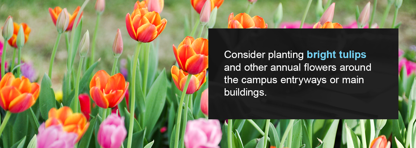 Consider planting bright flowers