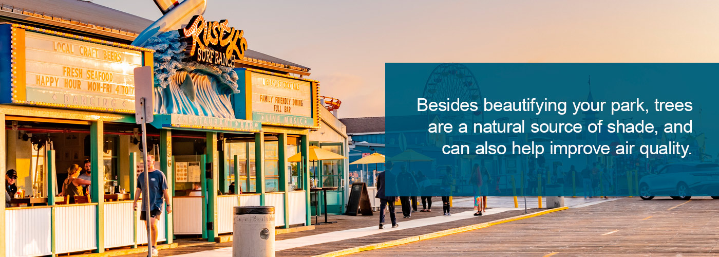 Add trees to increase shade and make your park more beautiful