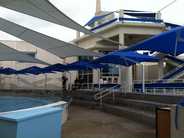 multiple blue shades covering concrete bleachers