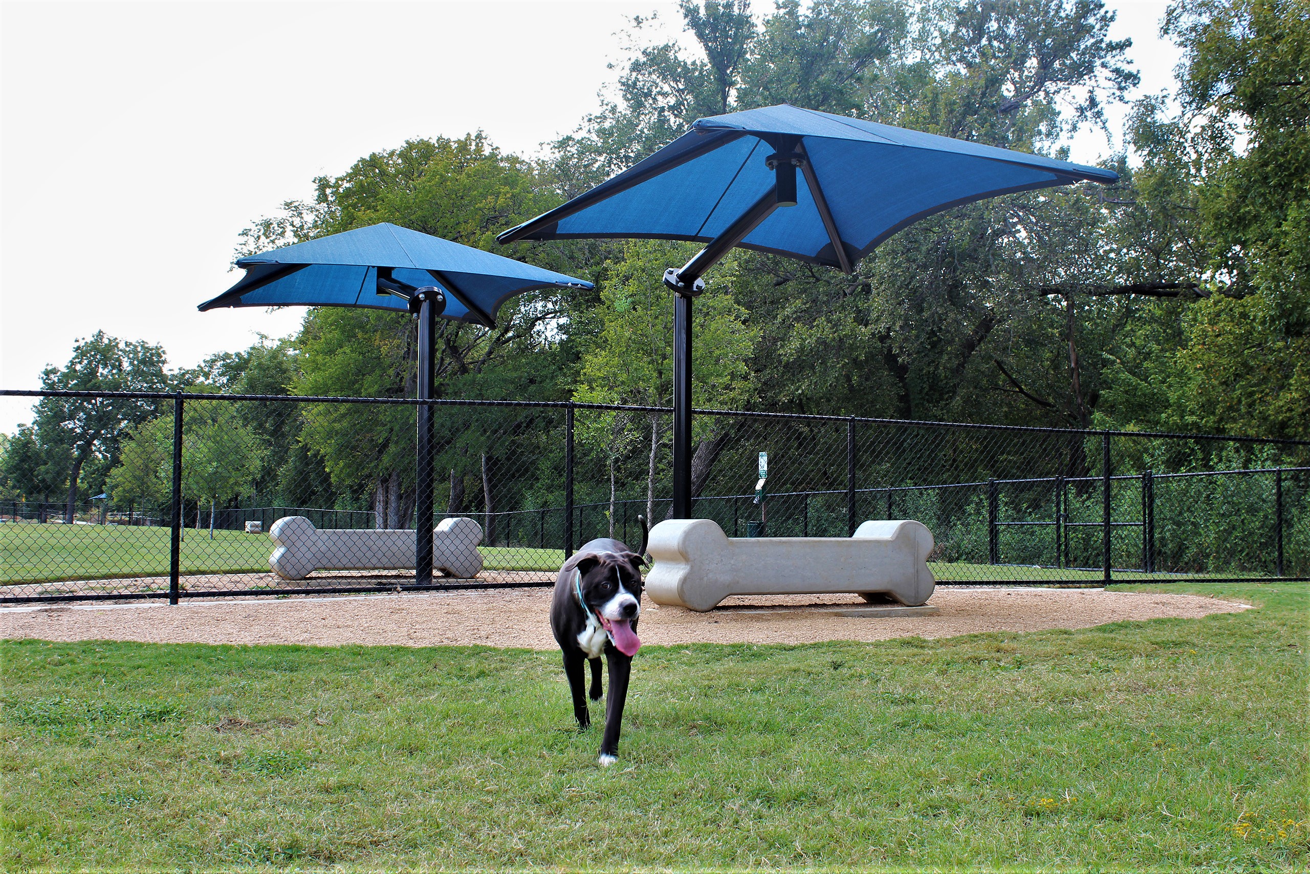 usa shades set up in outdoor dog park