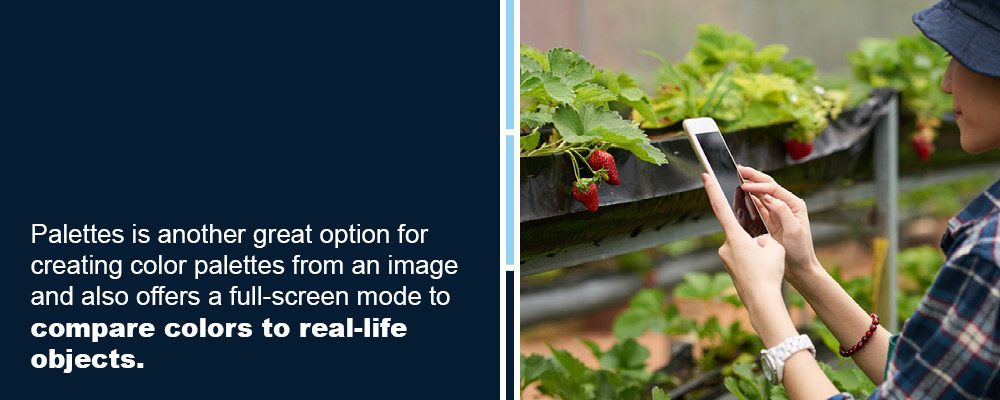 Palettes is helpful for making real life colors into palettes