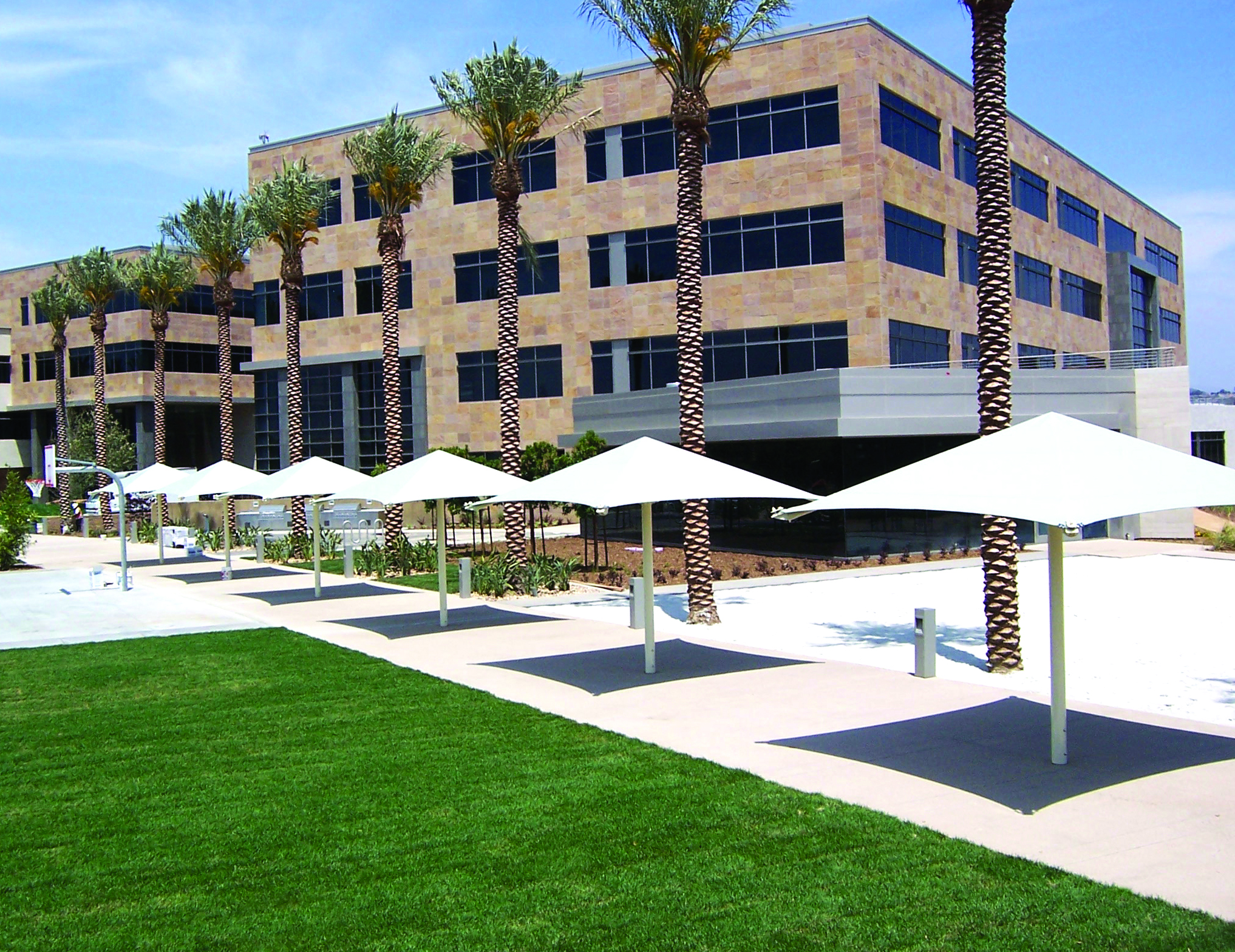 umbrella shades and palm trees outside of building