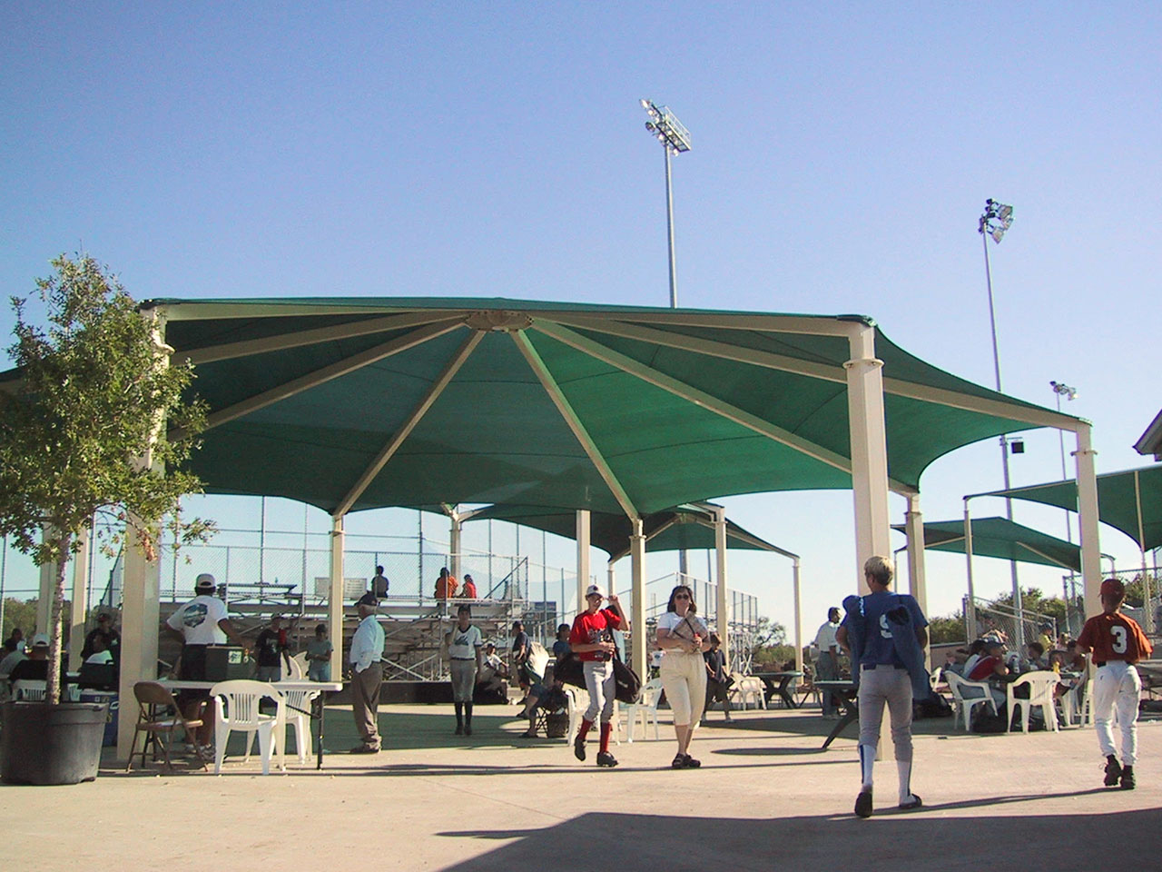 young baseball players and families under green shade