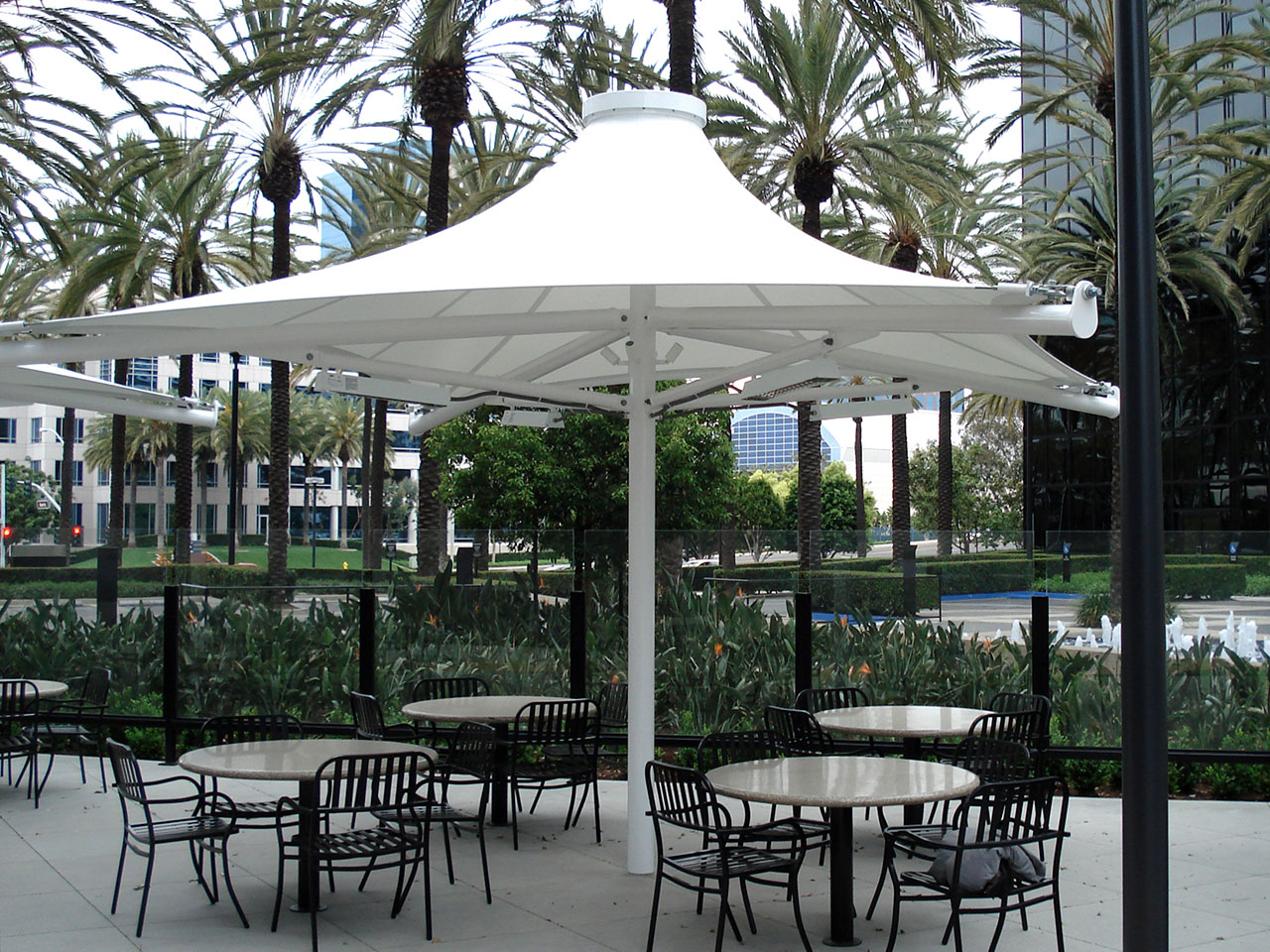outdoor seating near multiple palm trees
