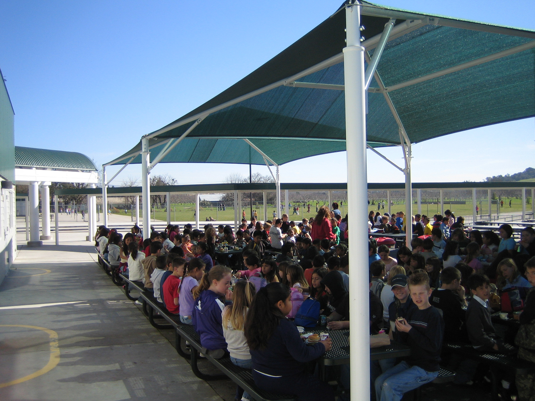 large group of students eating lunch outside