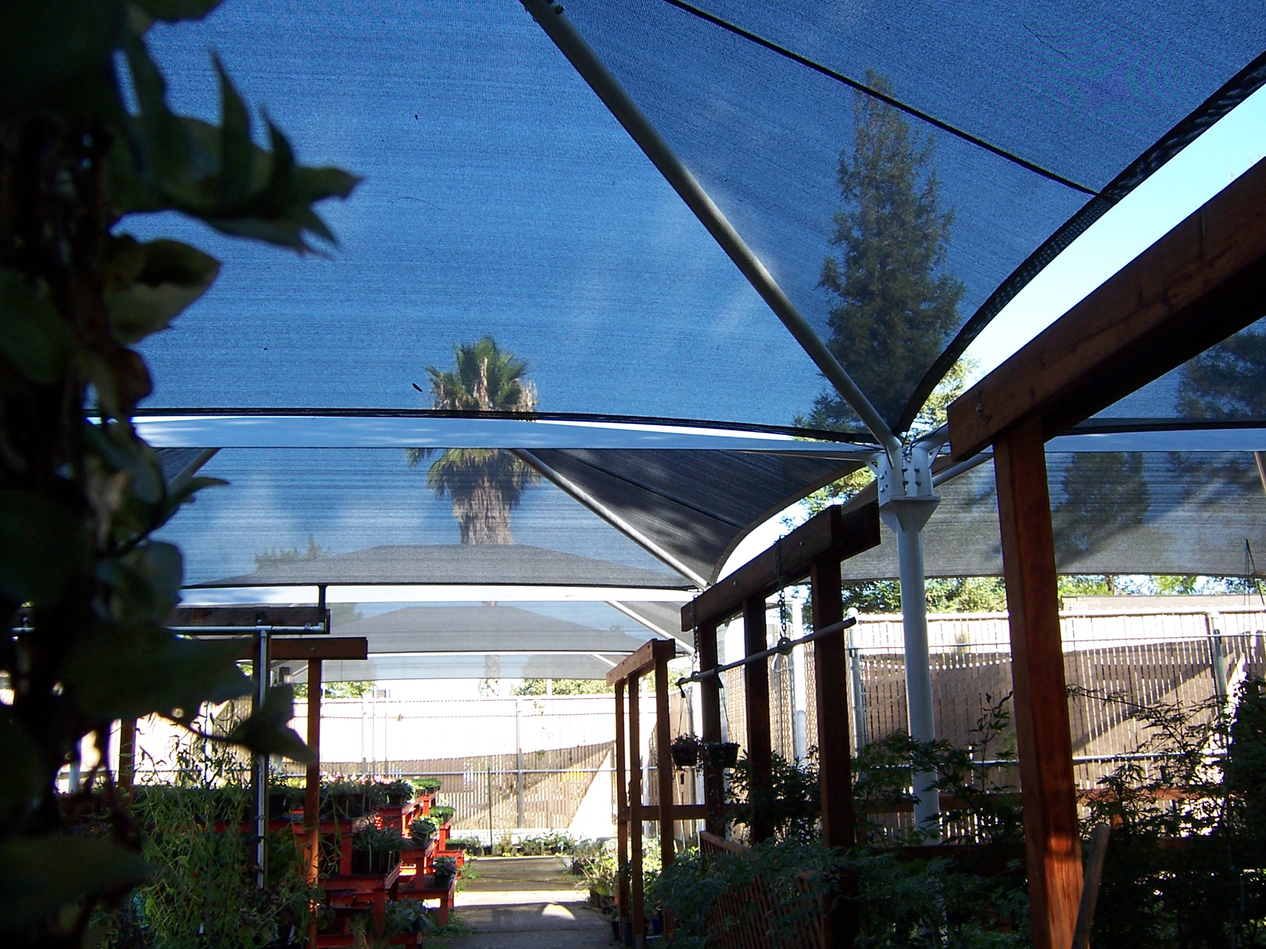 greenhouse plants covered by usa shades