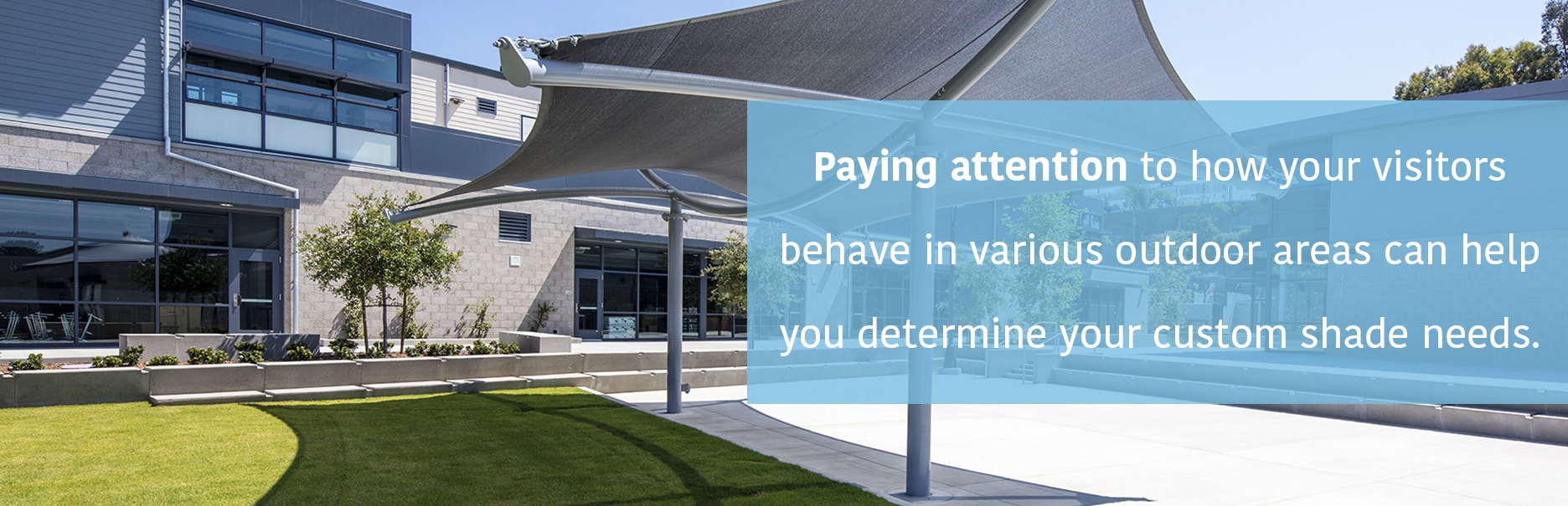 Determine Your Needs