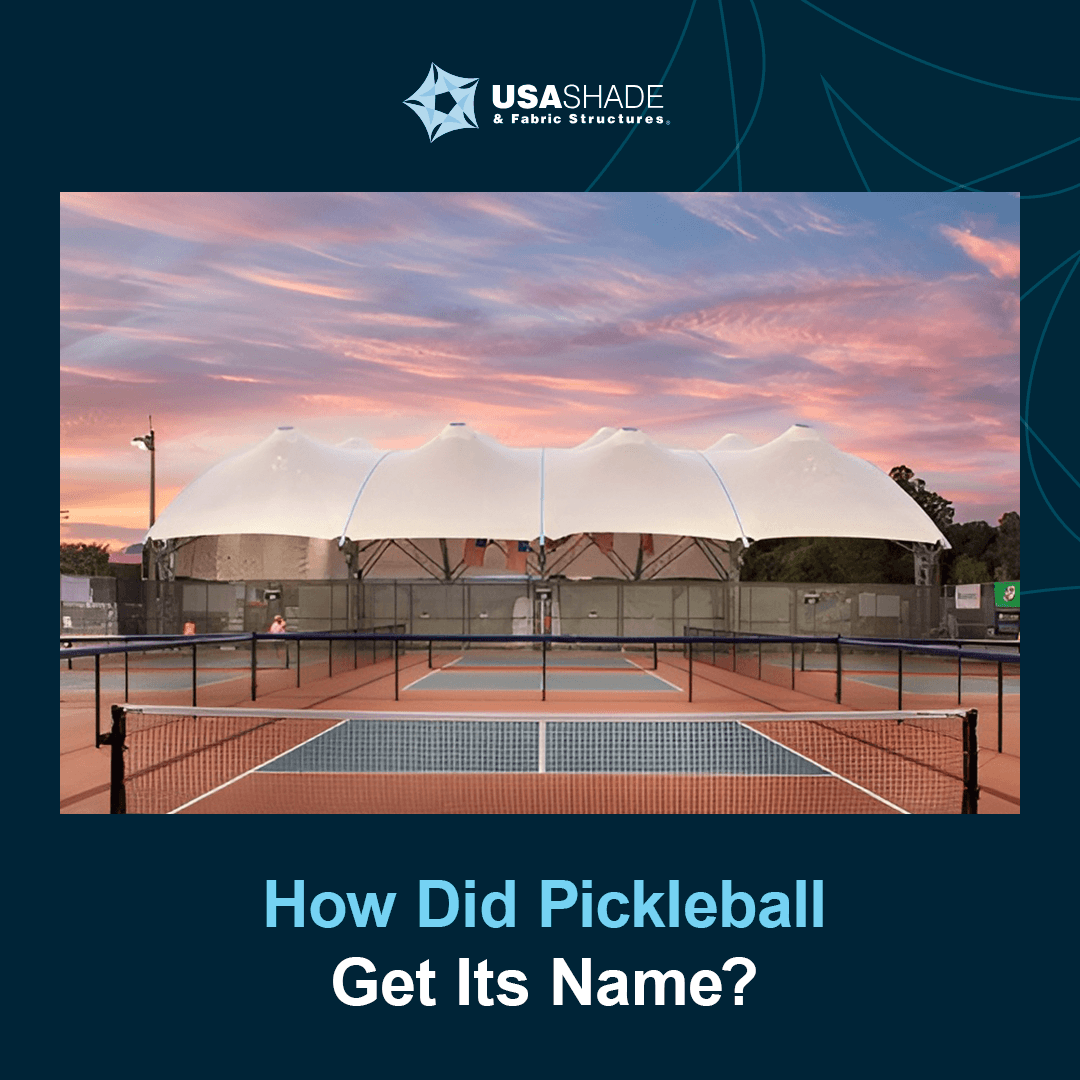 Frequently Asked Questions of where did pickleball get its name