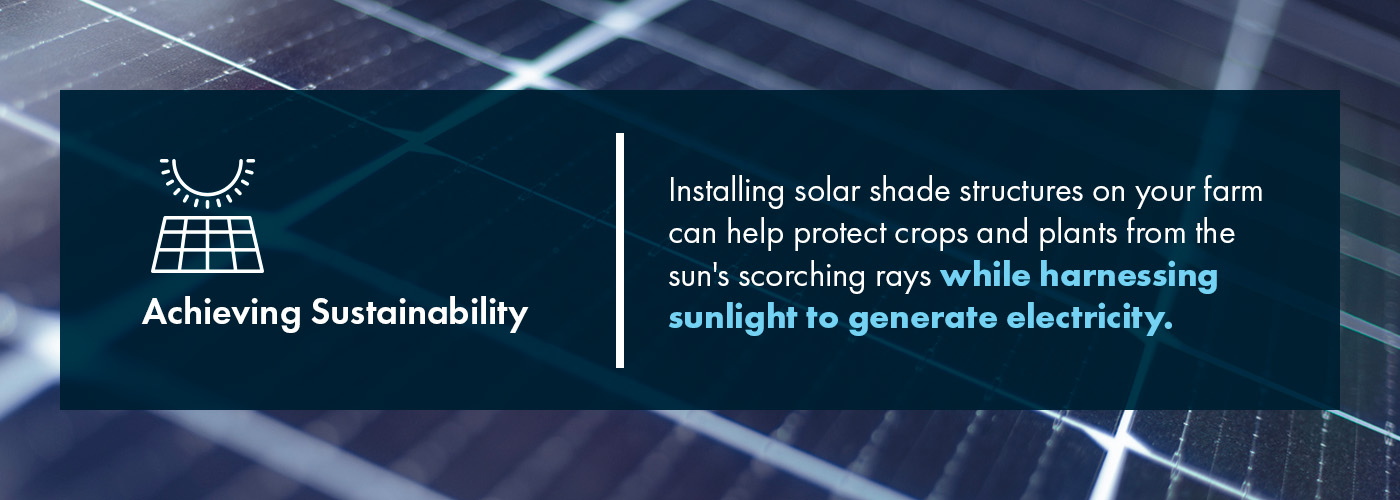 Achieve Sustainability