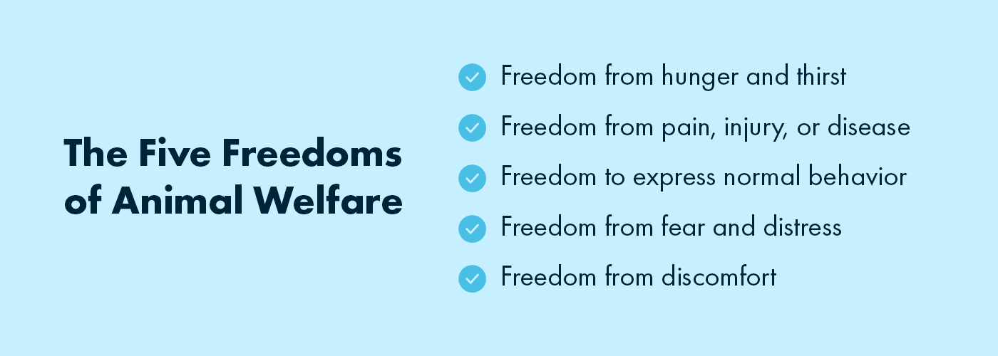 Five Freedoms of Animal Welfare