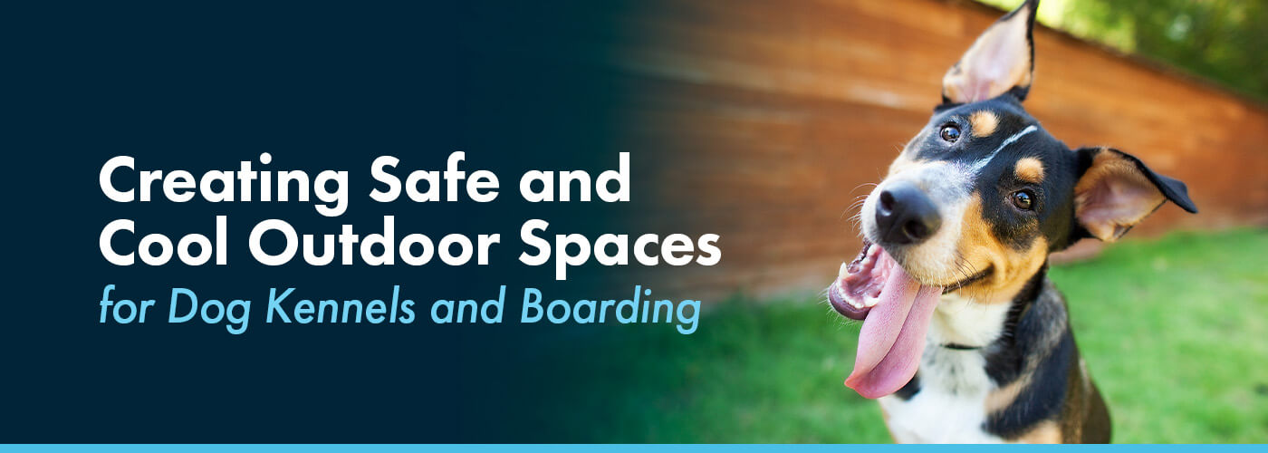 Creating Safe and Cool Outdoor Spaces for Dog Kennels and Boarding