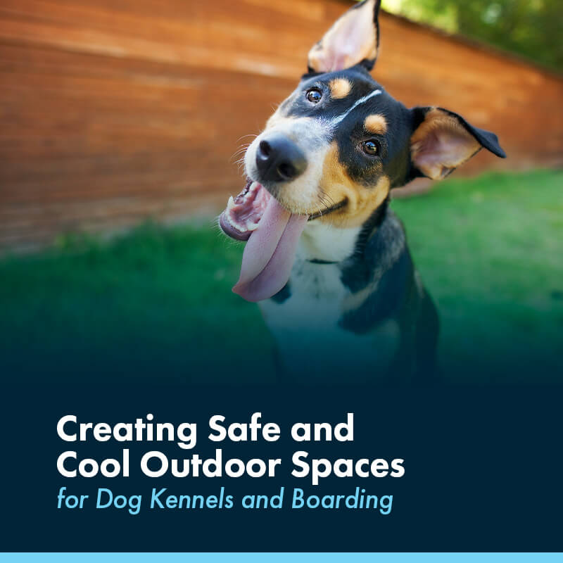 Creating safe and cool outdoor spaces for dog kennels